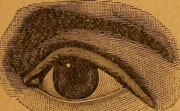 An illustration from Encyclopædia of human nature and physiognomy .., 1889, leaf 67
