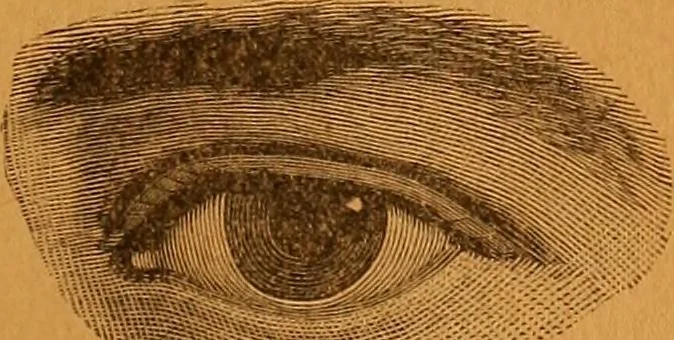 An illustration from Encyclopædia of human nature and physiognomy .., 1889, leaf 67