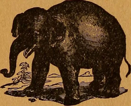 An illustration from Encyclopædia of human nature and physiognomy .., 1889, leaf 708