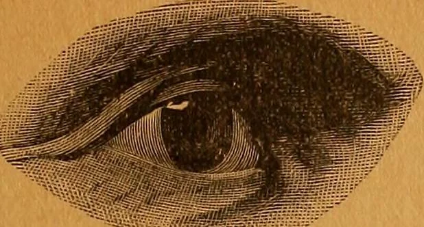 An illustration from Encyclopædia of human nature and physiognomy .., 1889, leaf 73