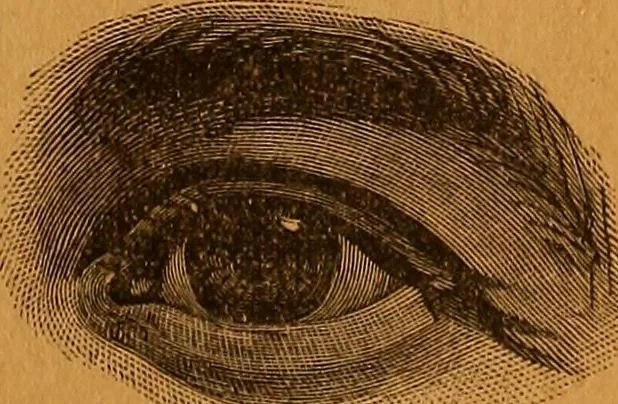 An illustration from Encyclopædia of human nature and physiognomy .., 1889, leaf 73