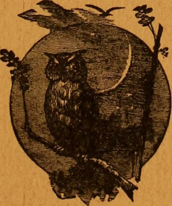 An illustration from Encyclopædia of human nature and physiognomy .., 1889, leaf 733