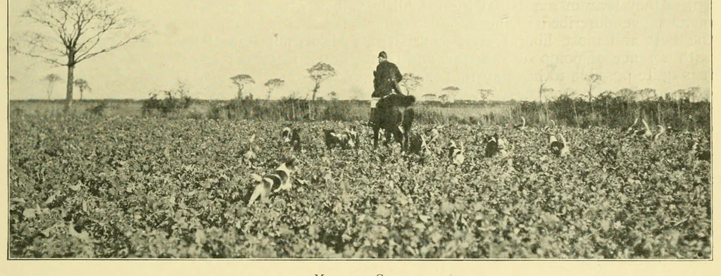 An illustration from The encyclopædia of sport & games : with about 500 illustrations, 1912, leaf 43
