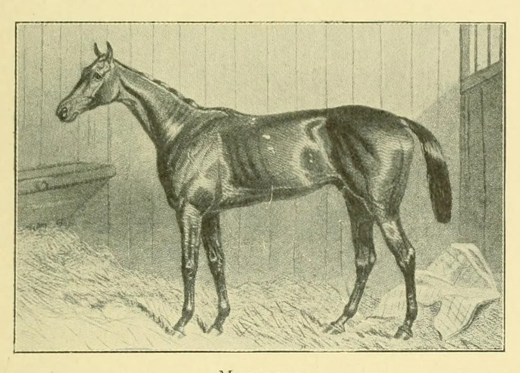 An illustration from The encyclopædia of sport & games : with about 500 illustrations, 1912, leaf 443