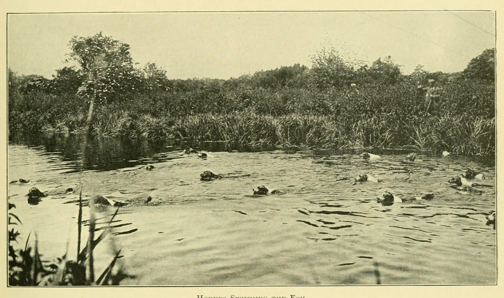 An illustration from The encyclopædia of sport & games : with about 500 illustrations, 1912, leaf 75