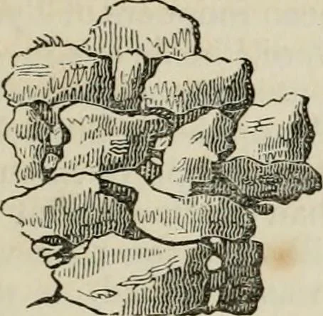 An illustration from Encyclopedia of antiquities : and elements of archaeology, classical and mediæval, 1843, leaf 35