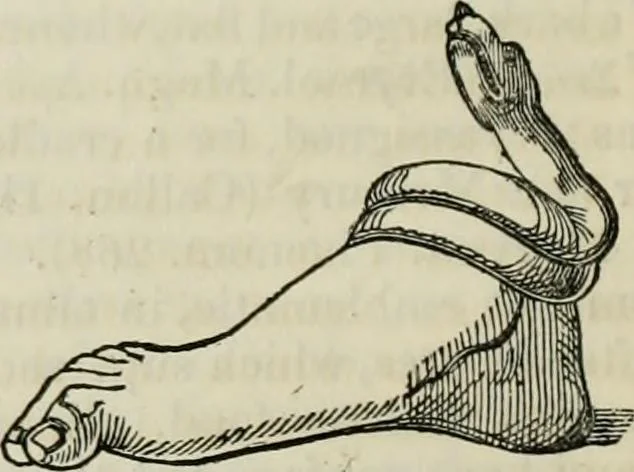 An illustration from Encyclopedia of antiquities : and elements of archaeology, classical and mediæval, 1843, leaf 486