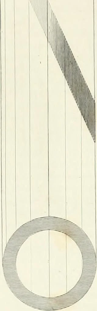 An illustration from Encyclopedia of architecture : a dictionary of the science and practice of architecture, building, carpentry, etc., from the earliest ages to the present time, forming a comprehensive work of reference for the use of architects, builders, carpenters, masons, engineers, students, professional men, and amateurs, 1852, leaf 692