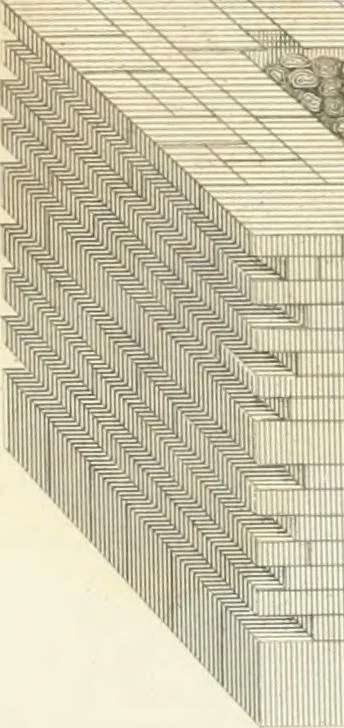 An illustration from Encyclopedia of architecture : a dictionary of the science and practice of architecture, building, carpentry, etc., from the earliest ages to the present time, forming a comprehensive work of reference for the use of architects, builders, carpenters, masons, engineers, students, professional men, and amateurs, 1852, leaf 695