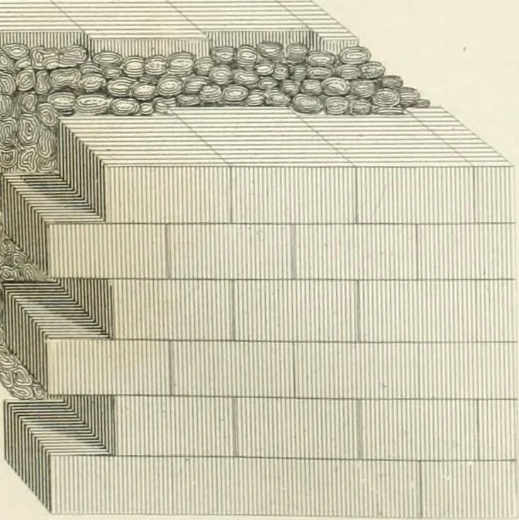 An illustration from Encyclopedia of architecture : a dictionary of the science and practice of architecture, building, carpentry, etc., from the earliest ages to the present time, forming a comprehensive work of reference for the use of architects, builders, carpenters, masons, engineers, students, professional men, and amateurs, 1852, leaf 695