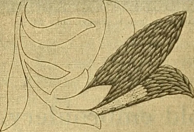An illustration from Encyclopedia of needlework, 1890, leaf 113