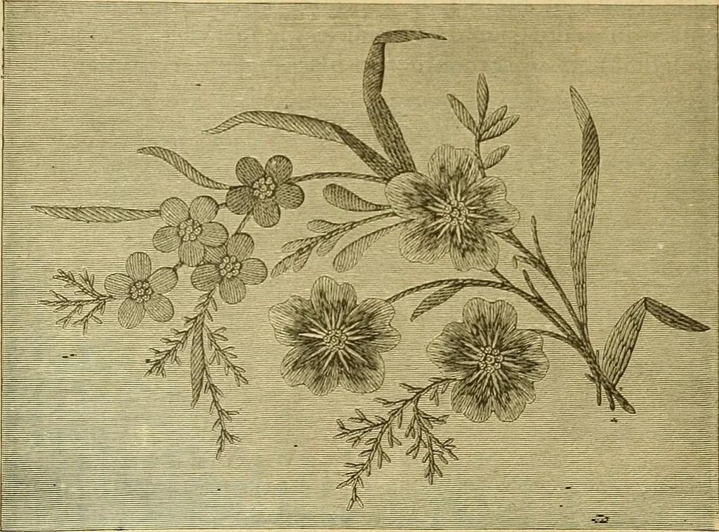 An illustration from Encyclopedia of needlework, 1890, leaf 117