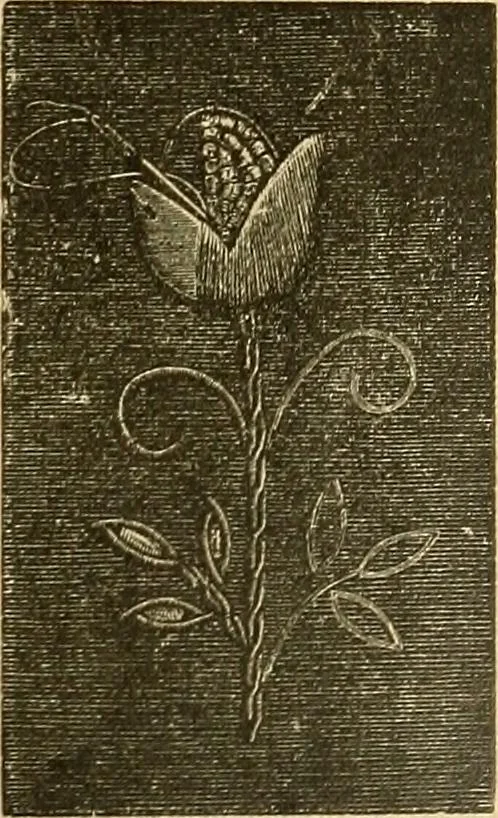 An illustration from Encyclopedia of needlework, 1890, leaf 126