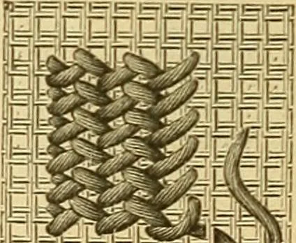 An illustration from Encyclopedia of needlework, 1890, leaf 137