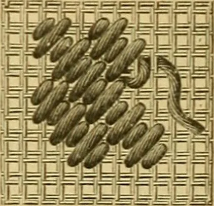 An illustration from Encyclopedia of needlework, 1890, leaf 139