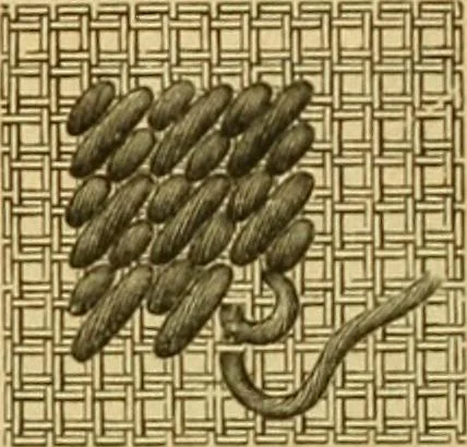 An illustration from Encyclopedia of needlework, 1890, leaf 141