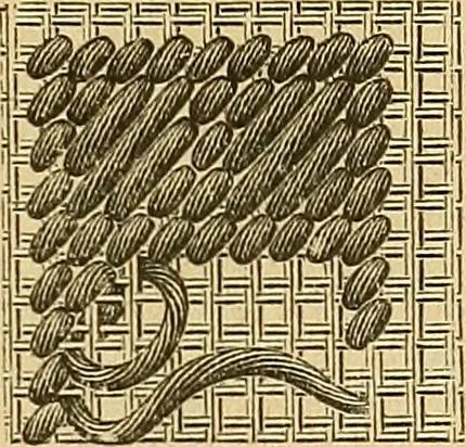 An illustration from Encyclopedia of needlework, 1890, leaf 142