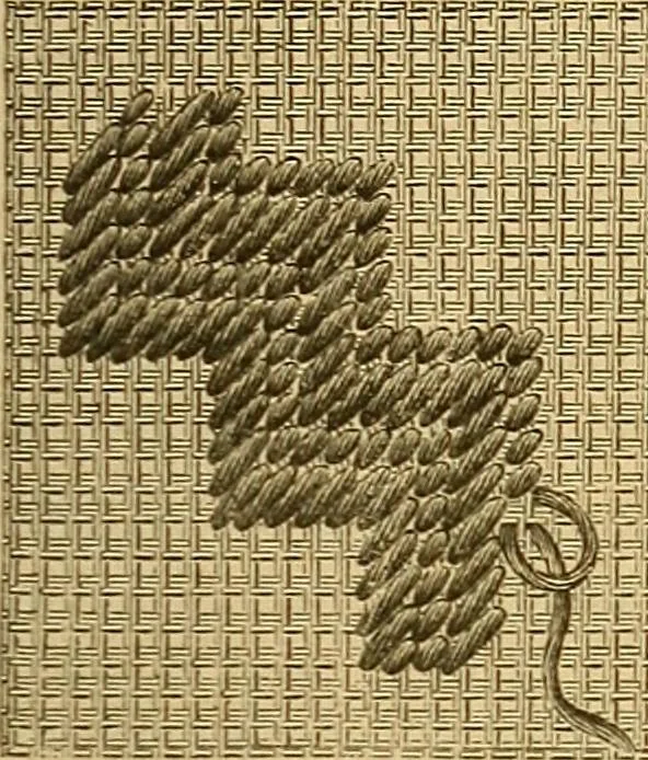 An illustration from Encyclopedia of needlework, 1890, leaf 144