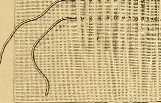 An illustration from Encyclopedia of needlework, 1890, leaf 16