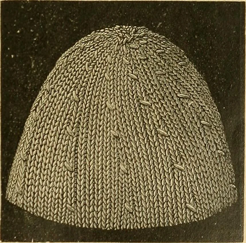 An illustration from Encyclopedia of needlework, 1890, leaf 196