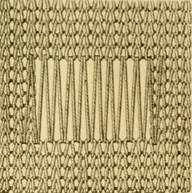 An illustration from Encyclopedia of needlework, 1890, leaf 201