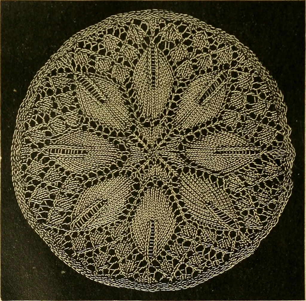 An illustration from Encyclopedia of needlework, 1890, leaf 221