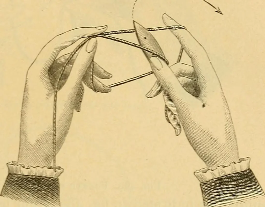 An illustration from Encyclopedia of needlework, 1890, leaf 334