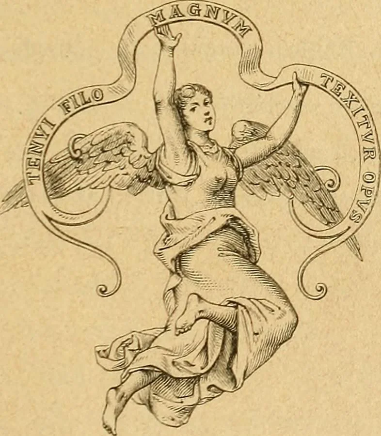 An illustration from Encyclopedia of needlework, 1890, leaf 4