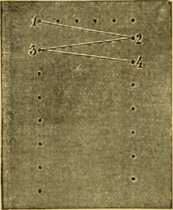 An illustration from Encyclopedia of needlework, 1890, leaf 489