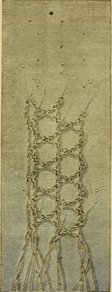 An illustration from Encyclopedia of needlework, 1890, leaf 497