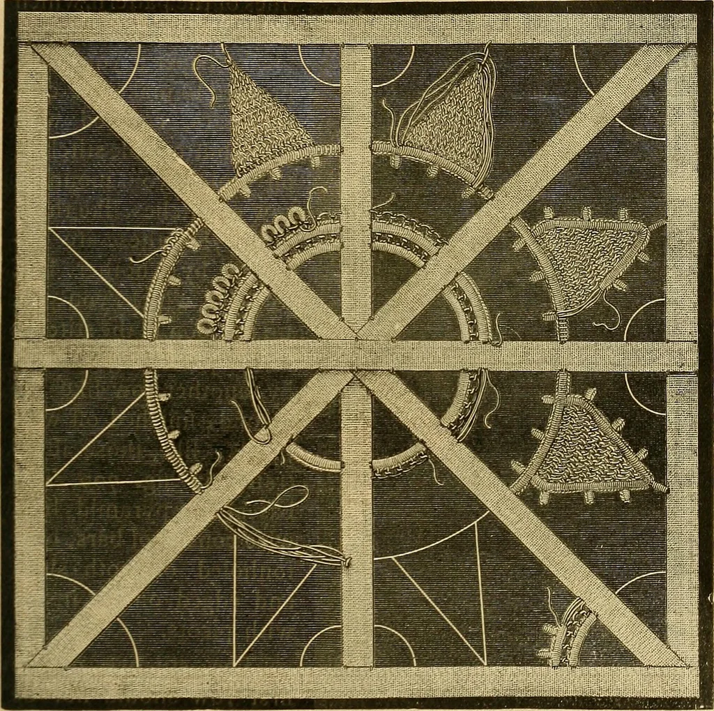 An illustration from Encyclopedia of needlework, 1890, leaf 516