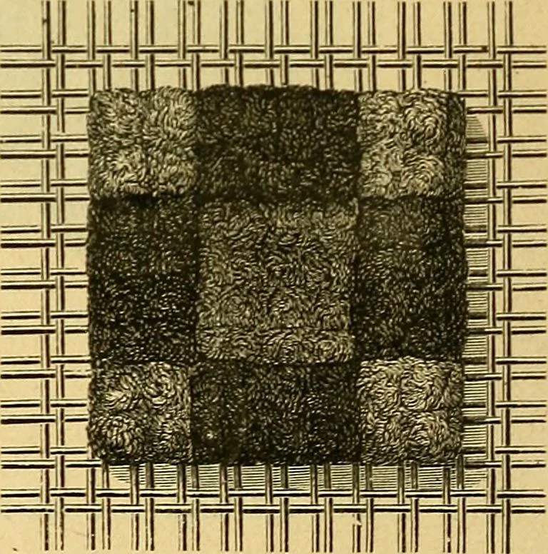 An illustration from Encyclopedia of needlework, 1890, leaf 531