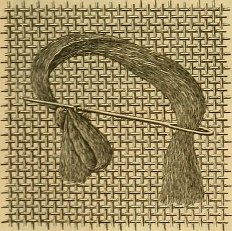 An illustration from Encyclopedia of needlework, 1890, leaf 532