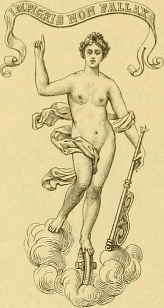 An illustration from Encyclopedia of needlework, 1890, leaf 587