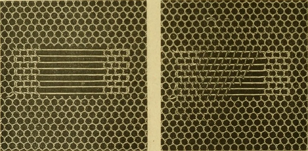 An illustration from Encyclopedia of needlework, 1890, leaf 69