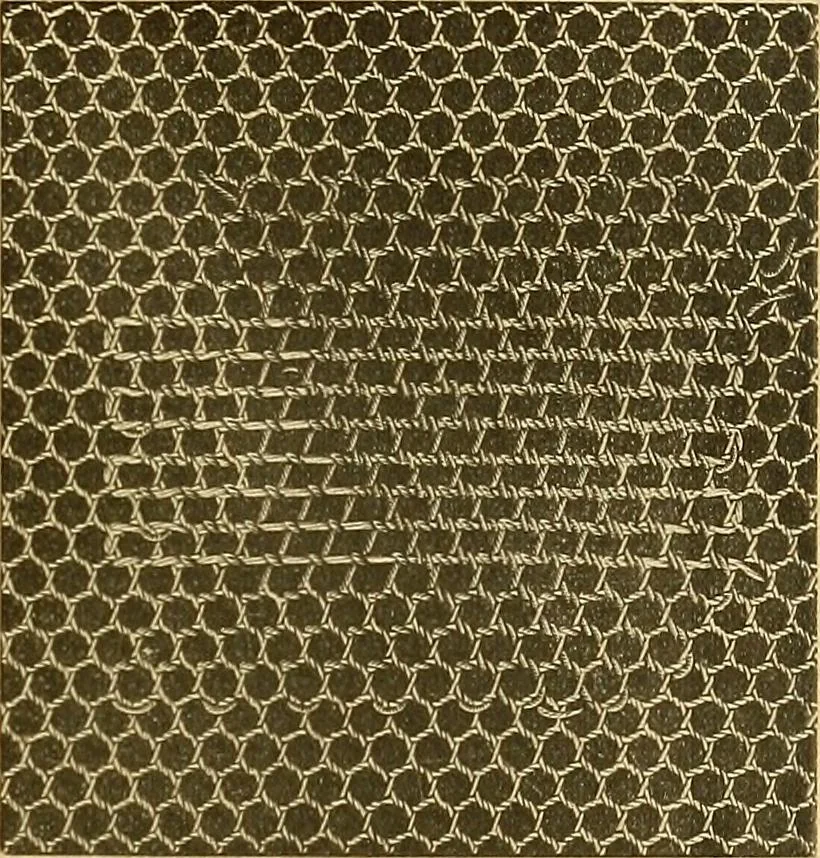 An illustration from Encyclopedia of needlework, 1890, leaf 70