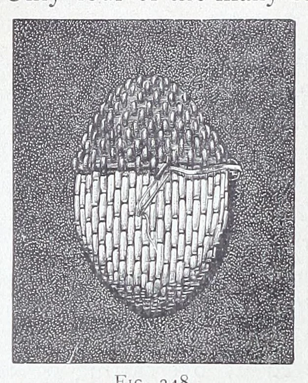 An illustration from Encyclopedia of needlework, 1890, leaf 134