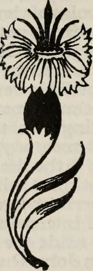 An illustration from An endeavor towards the teaching of John Ruskin and William Morris. Being a brief account of the work, the aims, and the principles of the Guild of handicraft in East London, 1901, leaf 67