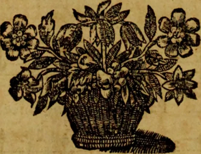 An illustration from Enée et Lavinie, tragédie, 1 act, 1690, leaf 117