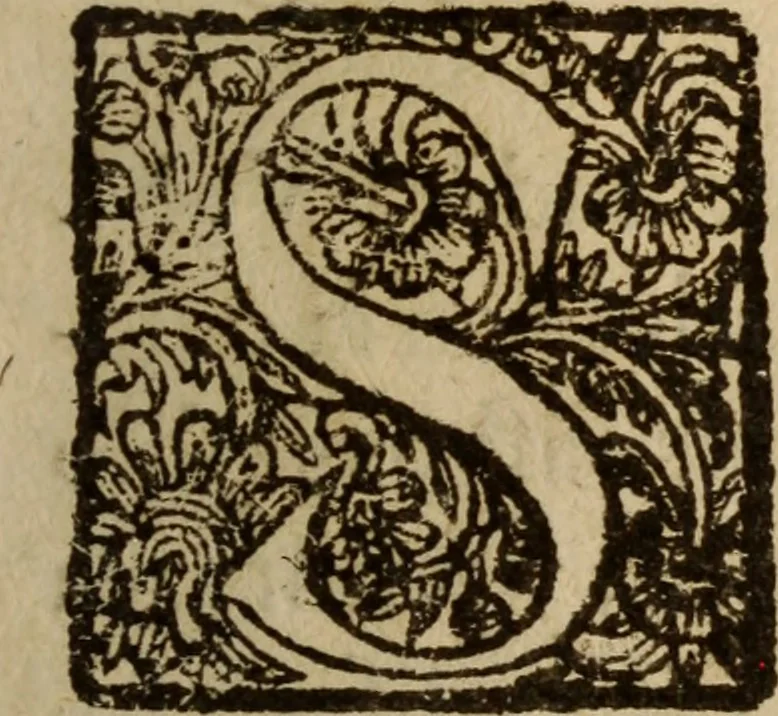An illustration from Engaños y desengaños del profano amor : deducidos de la amorosa historia, que à este fin se refiere del ducque D. Federico de Toledo : donde se disuade lo nocivo de esta passion, y se previene su remedio en diversos documentos morales, y politicos ; illustrados de toda erudicion sacra y humana ..., 1687, leaf 4
