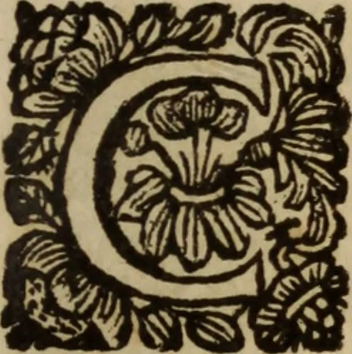 An illustration from Engaños y desengaños del profano amor : deducidos de la amorosa historia, que à este fin se refiere del ducque D. Federico de Toledo : donde se disuade lo nocivo de esta passion, y se previene su remedio en diversos documentos morales, y politicos ; illustrados de toda erudicion sacra y humana ..., 1687, leaf 588