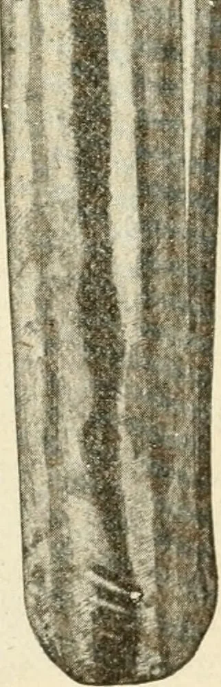An illustration from Engelman's autocraft; being an instructive study of the automobile; its care and management; how to drive; locating troubles and repairing them; with chapters exploiting some of the latest devices used in automobile construction, 1914, leaf 52