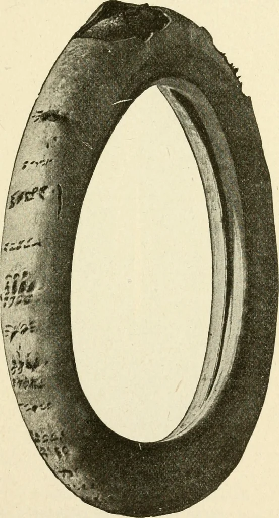 An illustration from Engelman's autocraft; being an instructive study of the automobile; its care and management; how to drive; locating troubles and repairing them; with chapters exploiting some of the latest devices used in automobile construction, 1914, leaf 54