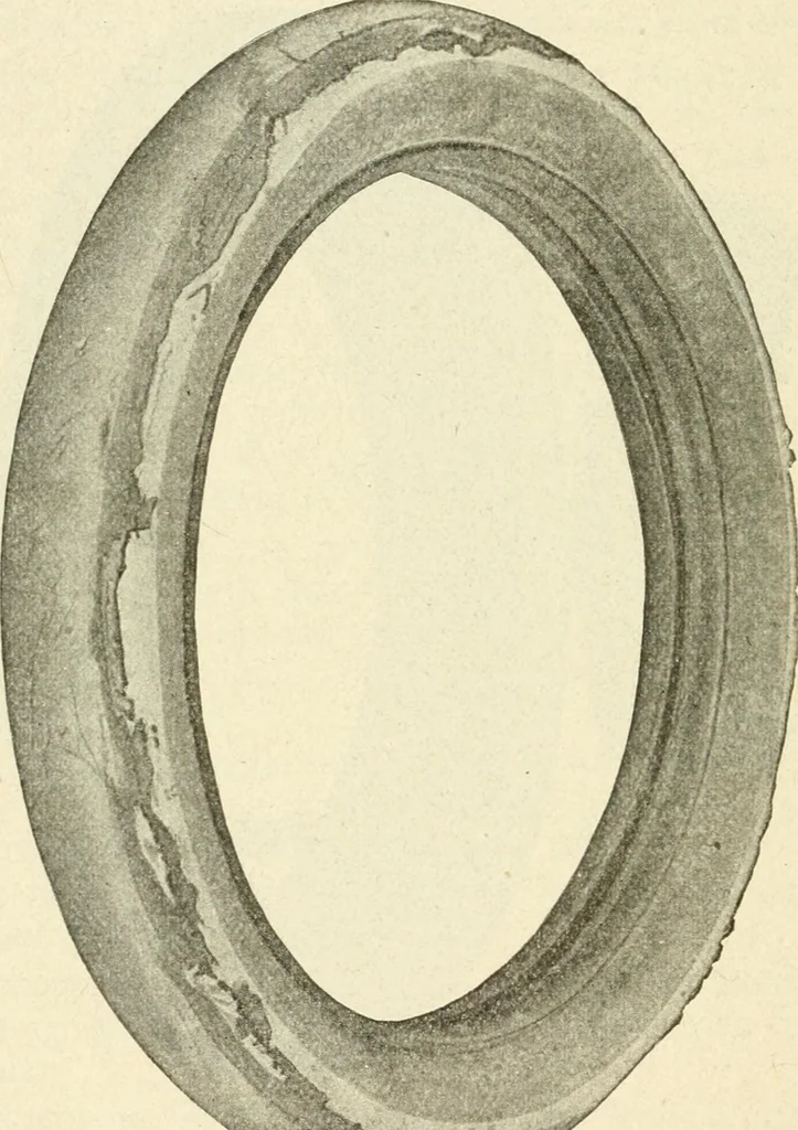 An illustration from Engelman's autocraft; being an instructive study of the automobile; its care and management; how to drive; locating troubles and repairing them; with chapters exploiting some of the latest devices used in automobile construction, 1914, leaf 59