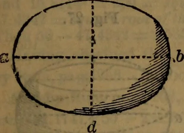 An illustration from Engineers' and mechanics' pocket-book .., 1881, leaf 262