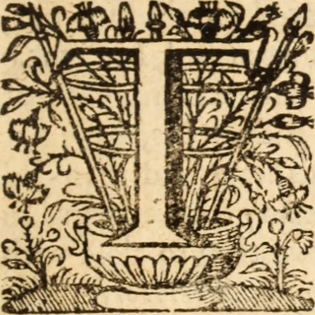 An illustration from England's beauty in seeing King Charles the Second restored to majesty, 1661, leaf 228