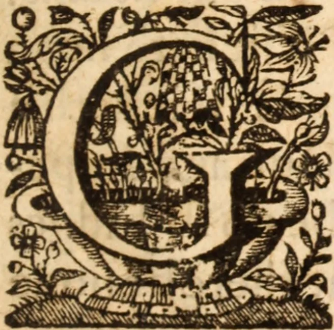 An illustration from England's beauty in seeing King Charles the Second restored to majesty, 1661, leaf 6