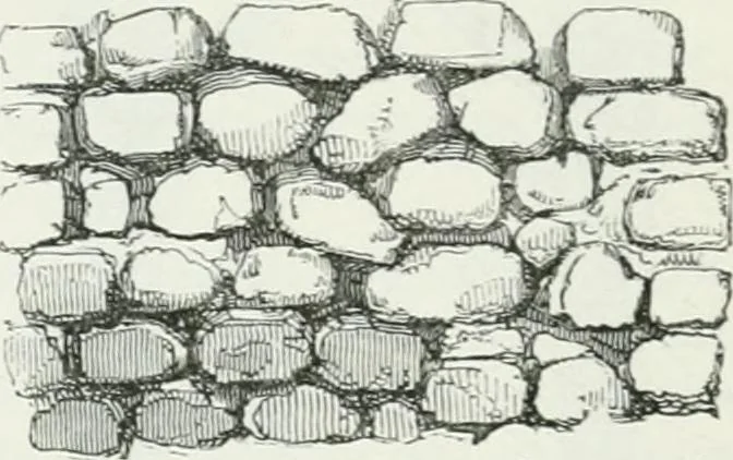 An illustration from An attempt to discriminate the styles of architecture in England : from the Conquest to the Reformation : with a sketch of the Grecian and Roman orders, 1862, leaf 107