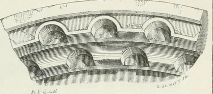 An illustration from An attempt to discriminate the styles of architecture in England : from the Conquest to the Reformation : with a sketch of the Grecian and Roman orders, 1862, leaf 154