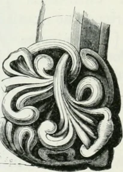 An illustration from An attempt to discriminate the styles of architecture in England : from the Conquest to the Reformation : with a sketch of the Grecian and Roman orders, 1862, leaf 243